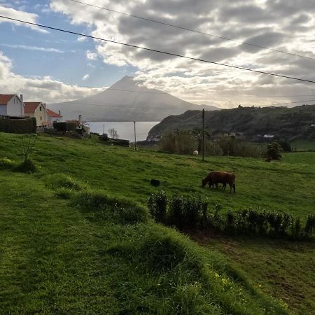 Apartamentos Praia Do Almoxarife Horta  Eksteriør billede
