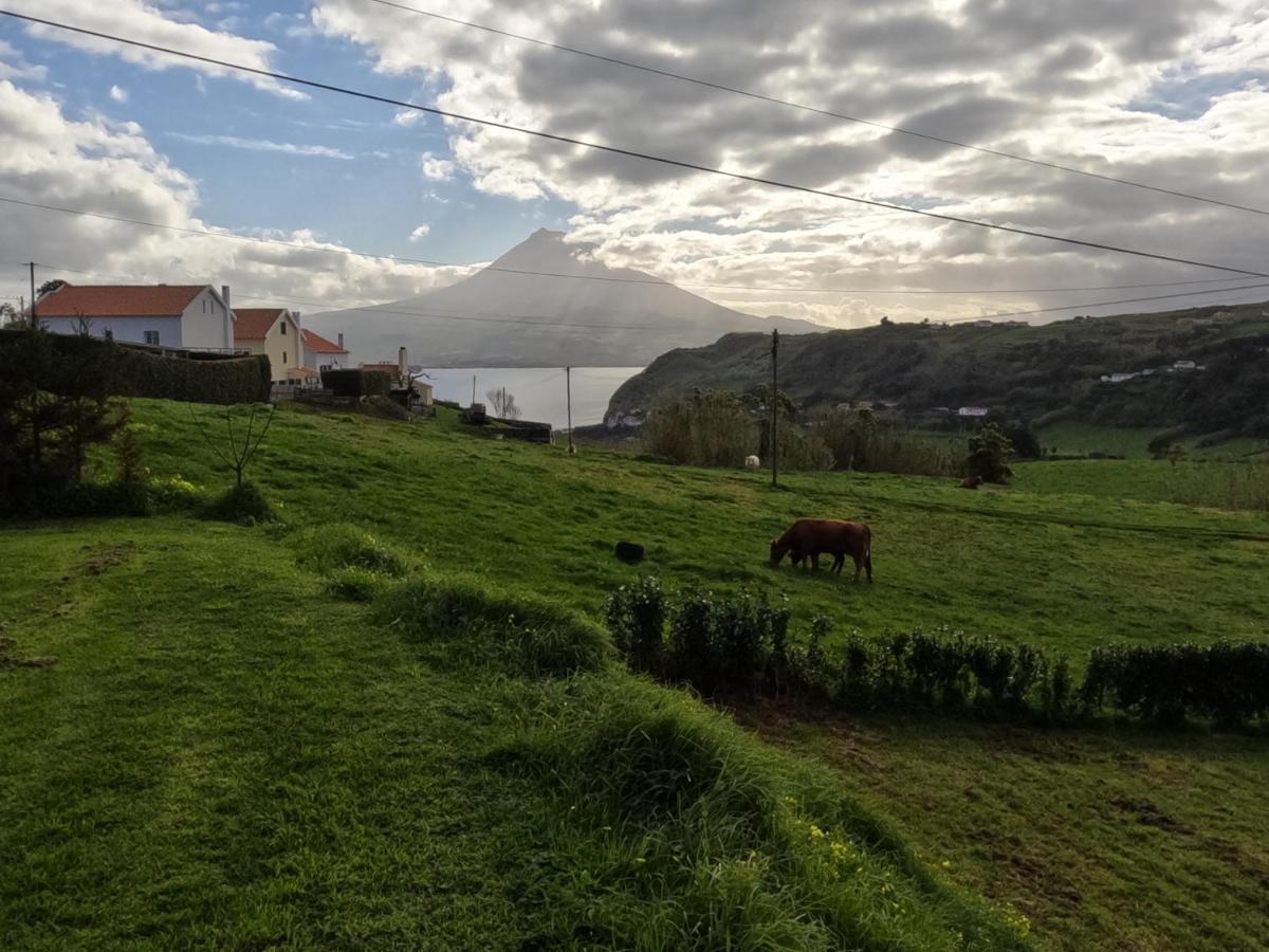 Apartamentos Praia Do Almoxarife Horta  Eksteriør billede
