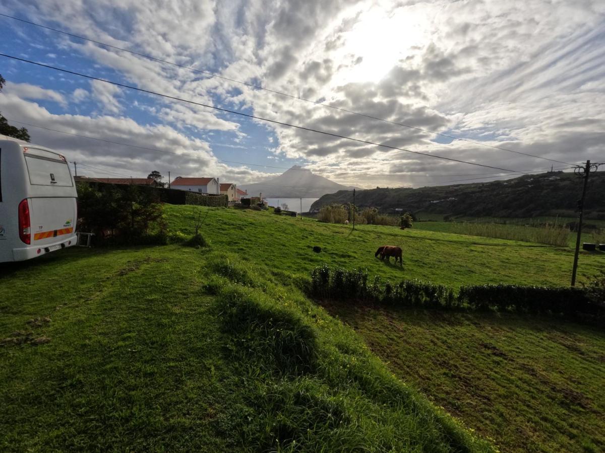 Apartamentos Praia Do Almoxarife Horta  Eksteriør billede
